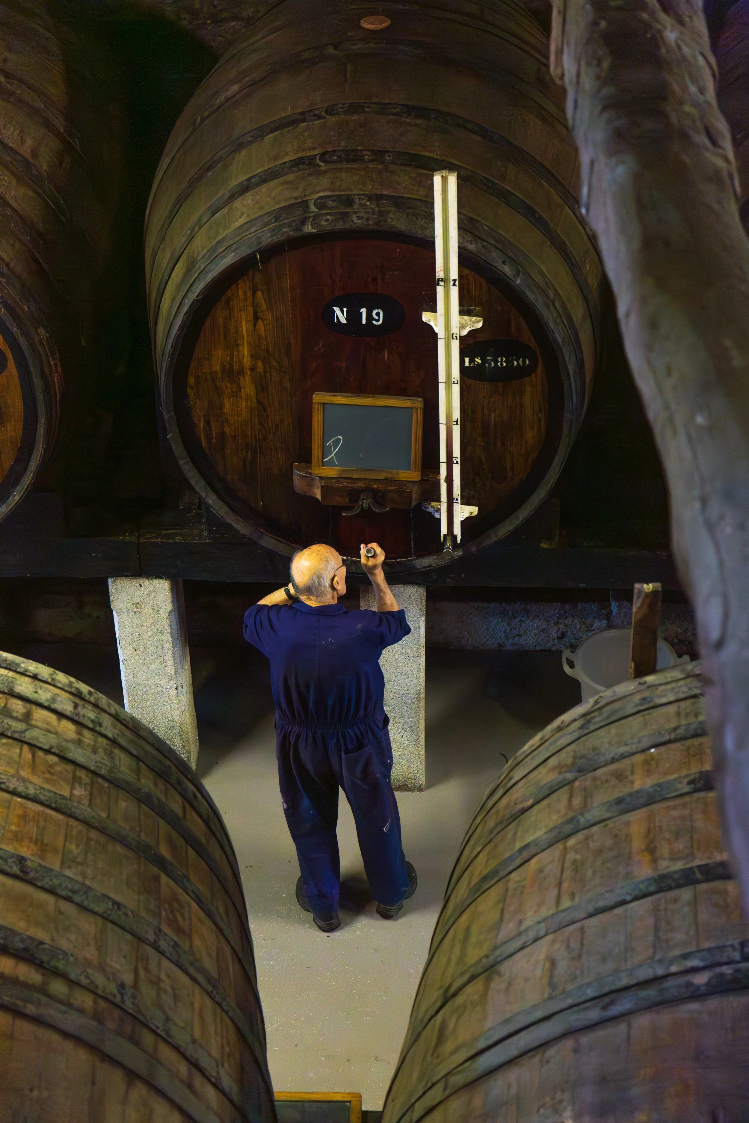 Understanding the Differences Between 10, 20, 30, 40, 50 and 80 Year Old Tawny Ports