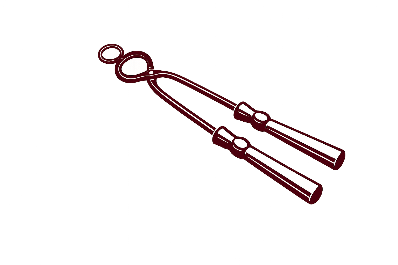 Best Port tong Guide 2026