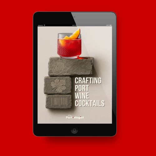 Ebook-The-Portologist.png