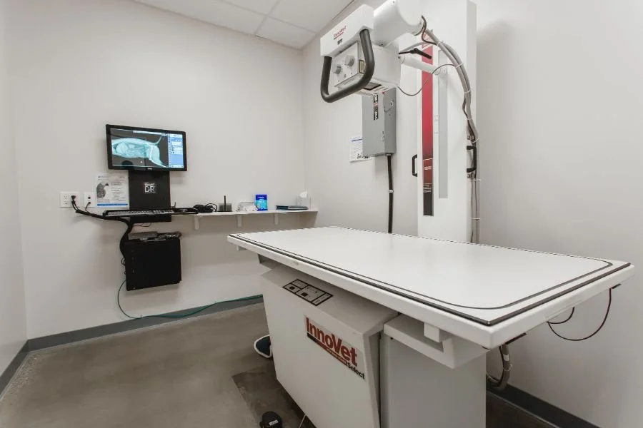 Veterinary Specialty Group of Glendora