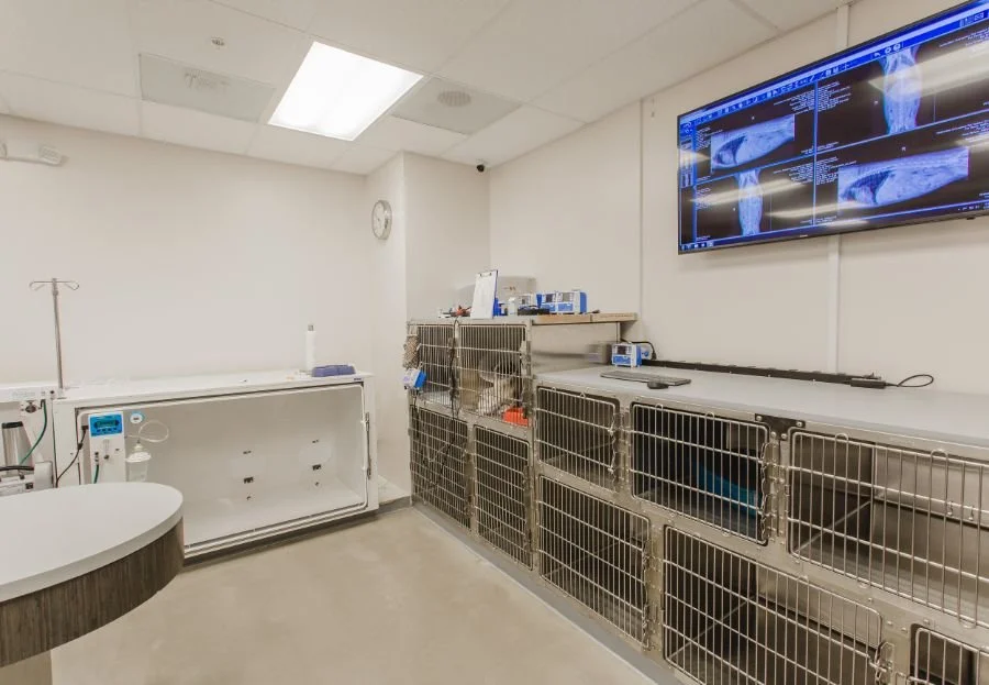 Veterinary Specialty Group of Glendora