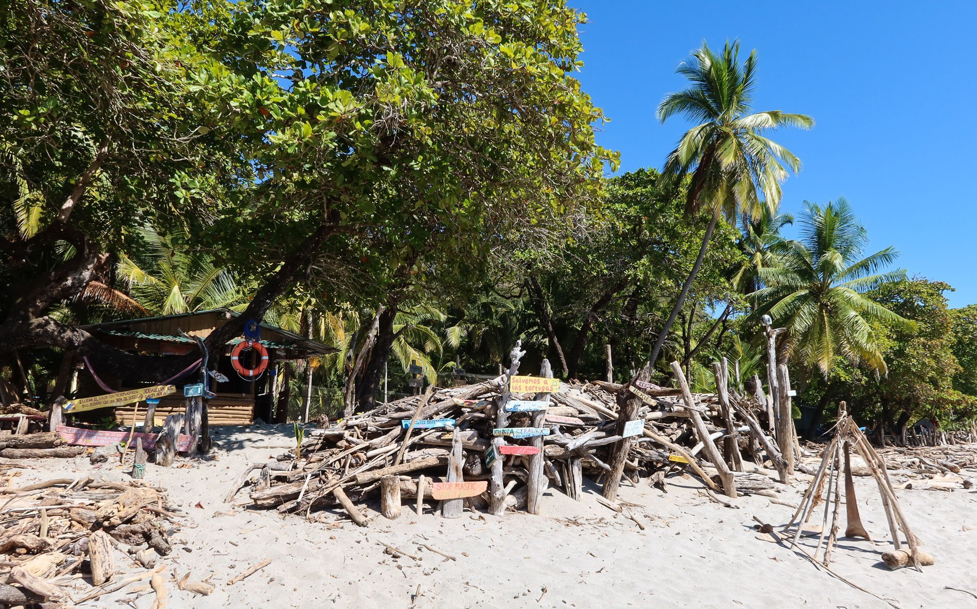 Costa Rica Kariibi rannik rand palmide ja kohaliku rannabaariga Puerto Viejo piirkonnas
