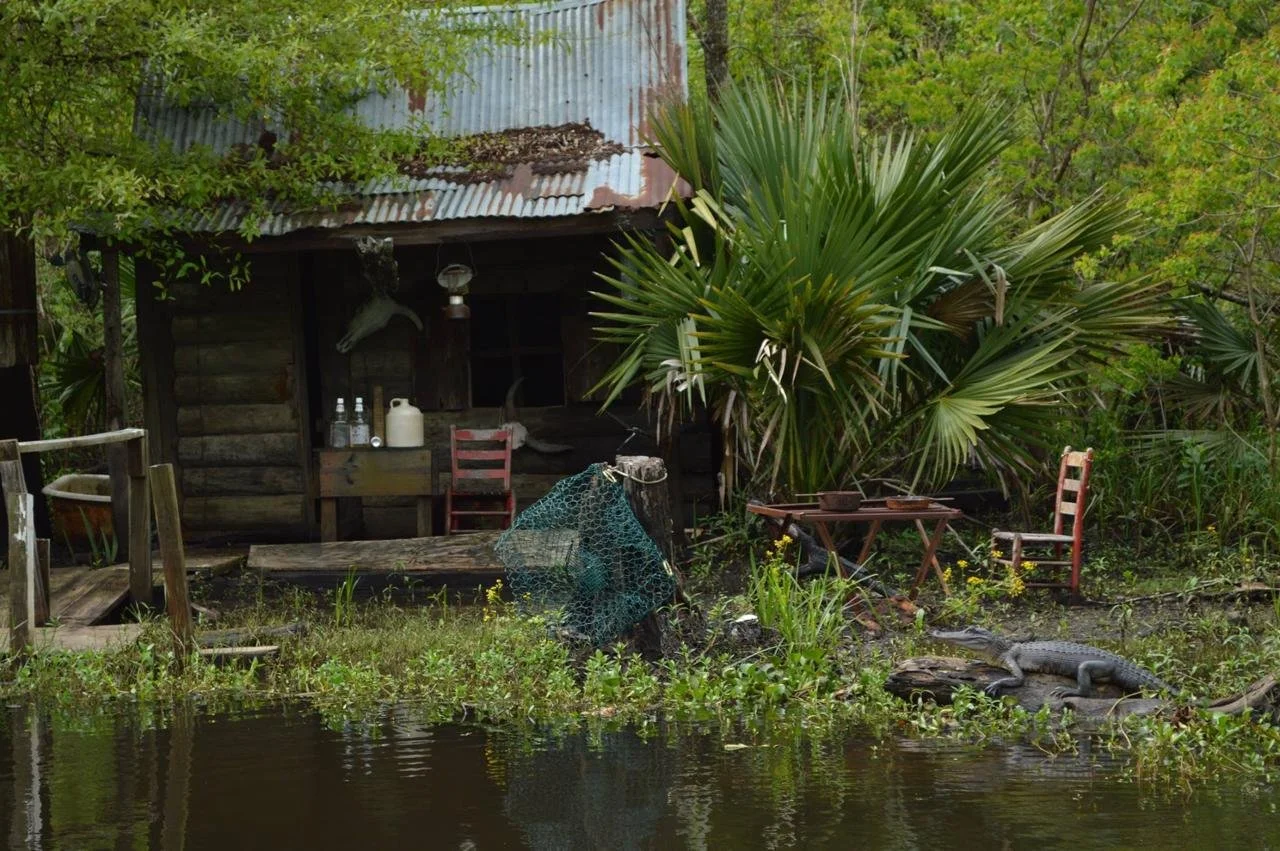 WhatsApp Image 2024-08-29 at 23.23.26.jpeg