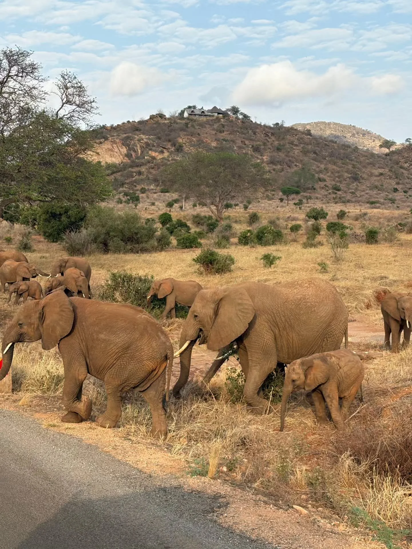 Hommikul oli autoklaas esimest korda h&auml;rmas, aga Amazonas Reiside k&otilde;ige esimene Keenia reis on just &auml;sja l&otilde;ppenud. Oli t&auml;pselt selline algus, nagu Aafrikale sobilik - natuke tolmune, aga &uuml;dini v&otilde;luv.

Enamikul