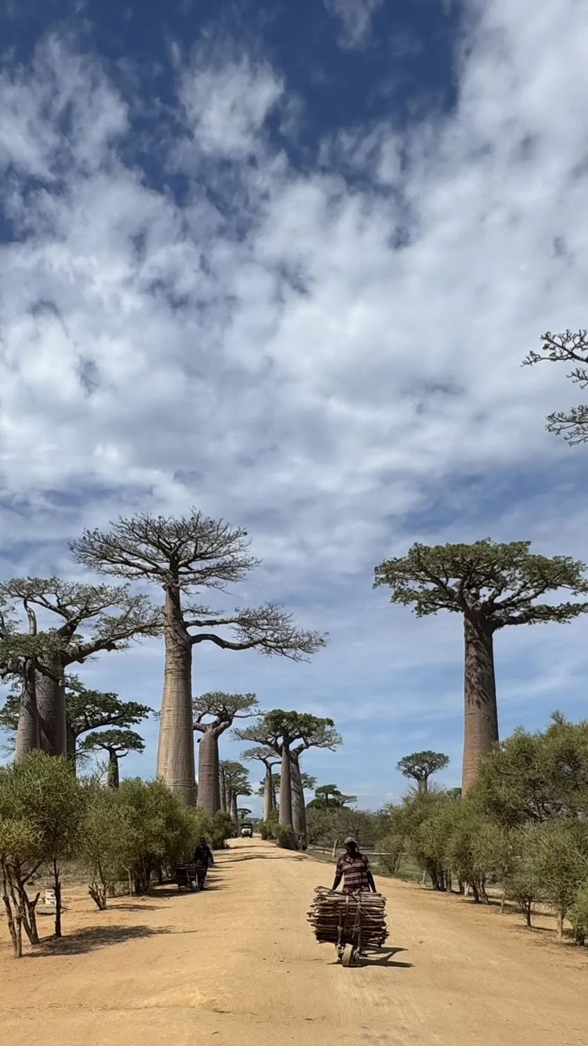 REISIJUHI MÄRKMED ESIMESELT MADAGASKARI REISILT — Amazonas Reisid