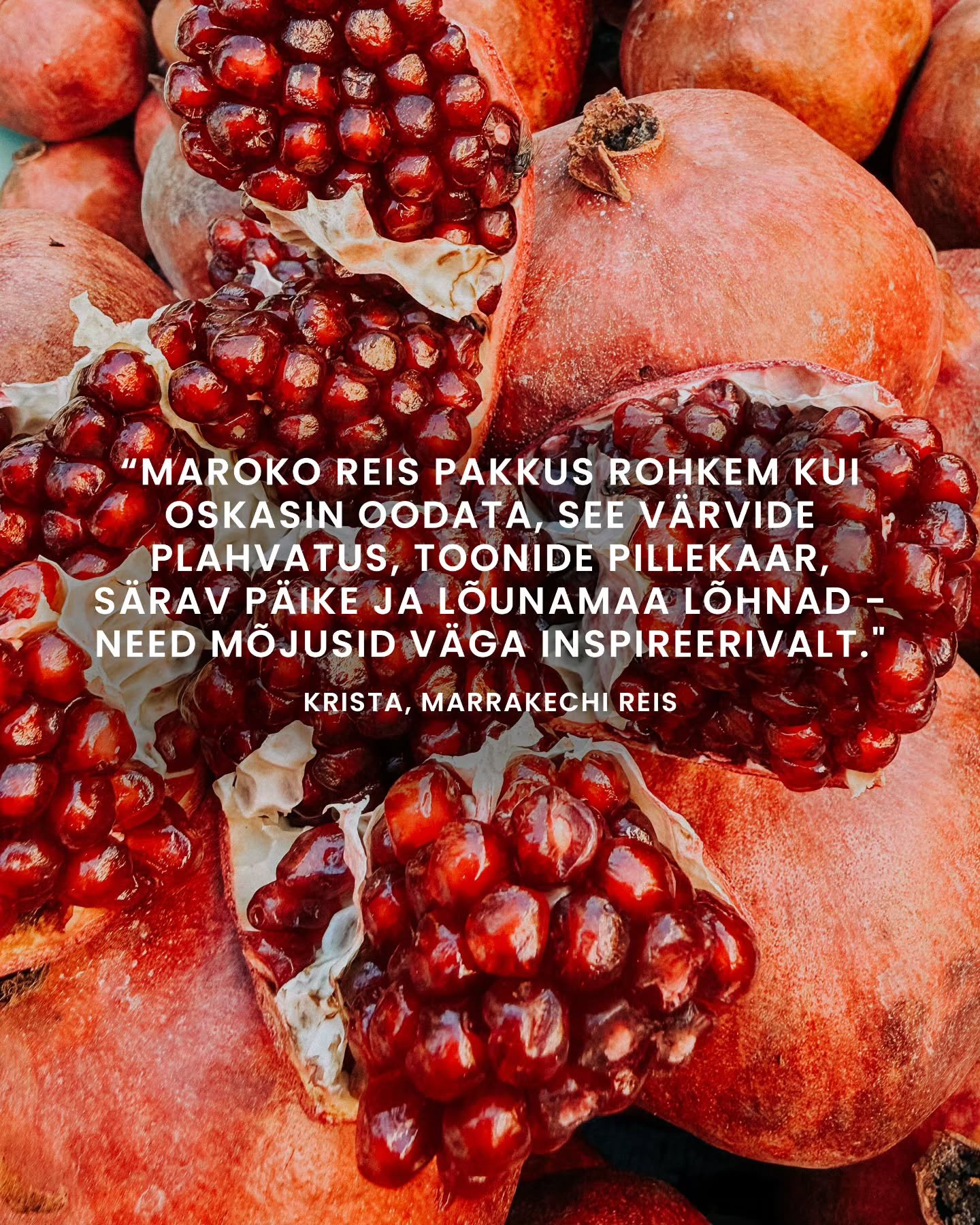 "Soovisin just @annikametsla'ga fotoreisile tulla, nautida omasuguste (pidevalt pildistavate) inimeste seltskonda ja saada Annikalt uusi soovitusi. Ei osanud nii t&auml;pselt ette kujutada, mis sellisel reisil toimuma hakkab ja minus oli k&otild