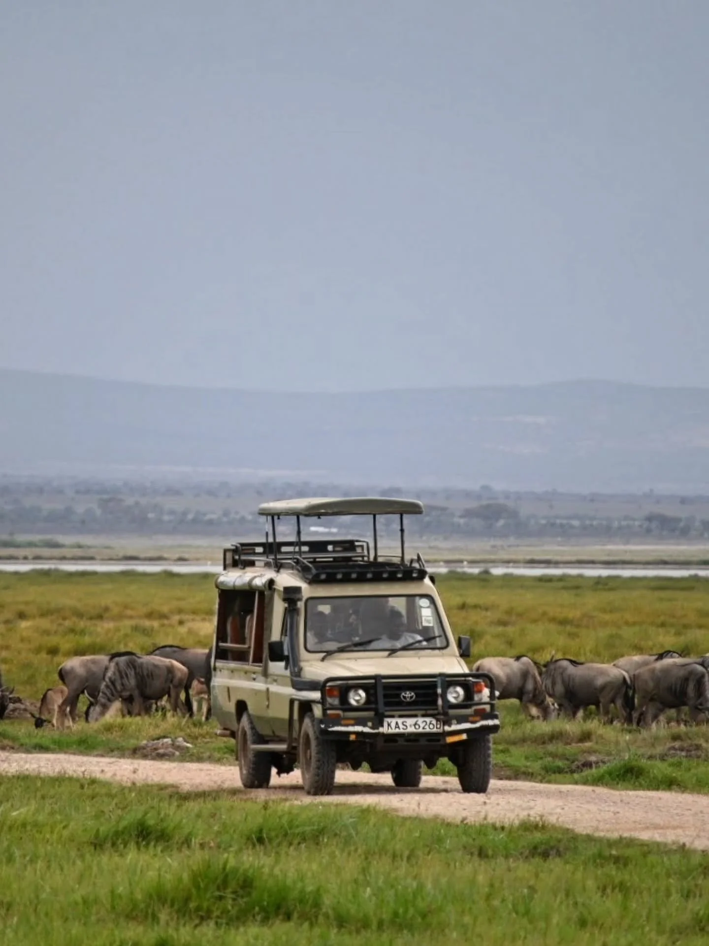 Tsavo rahvuspark on Keenia suurim &ndash; tohutu savann, &uuml;ksikud akaatsiad ja silmapiir, mis ei tule kuidagi l&auml;hemale. Siin liiguvad elevandikarjad, kaelkirjakud ja antiloobid ning kusagil v&otilde;ivad rahulikult puhata ka l&otilde;vid. 
