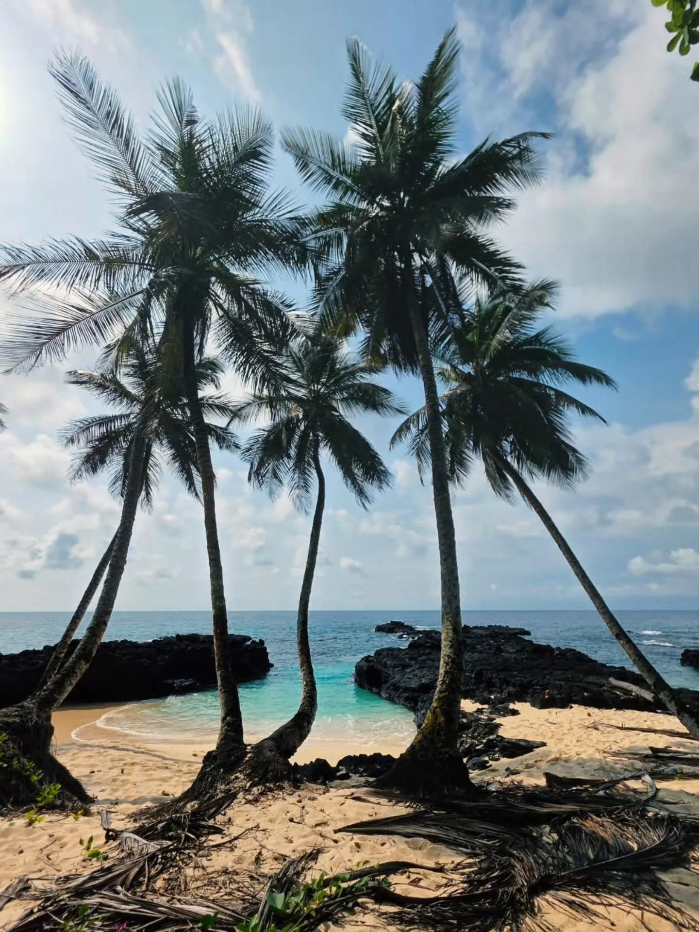 S&atilde;o Tom&eacute; ja Pr&iacute;ncipe on &uuml;ks viimaseid p&auml;riselt avastamata paiku maailmas, tilluke kahe saarega riik Aafrika l&auml;&auml;neranniku l&auml;histel, kuhu j&otilde;uab p&auml;evas vaid k&auml;put&auml;is lende. Džungel kasv