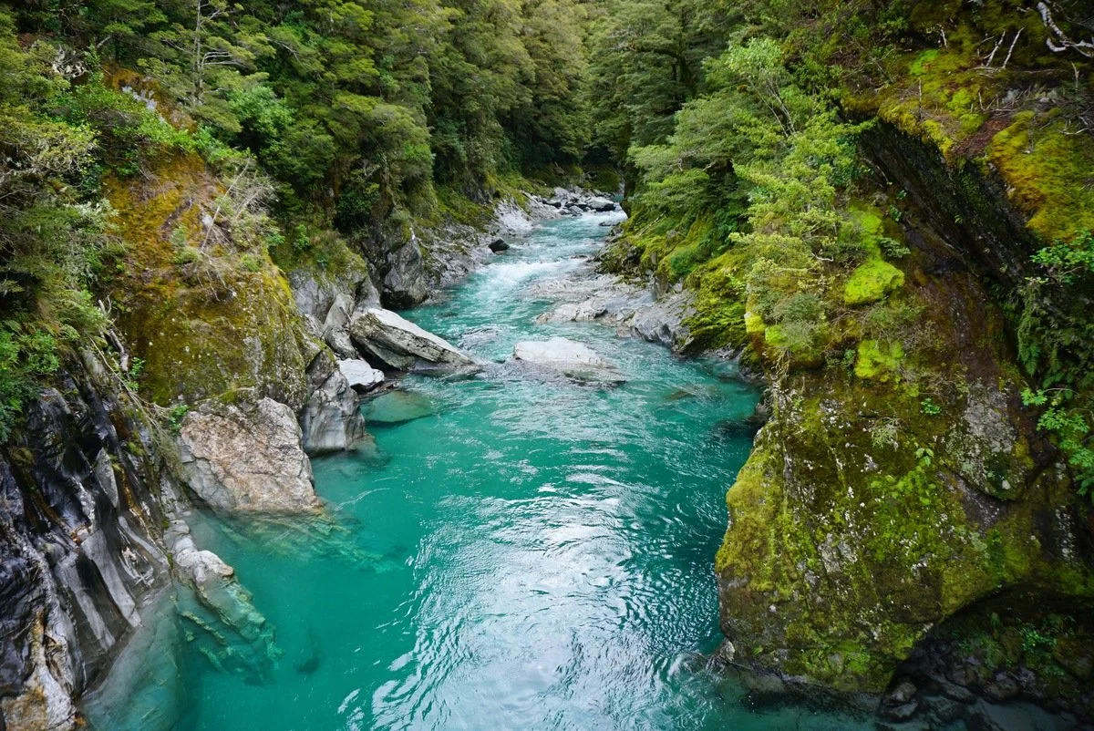 amazonas reisid uus meremaa24.jpeg