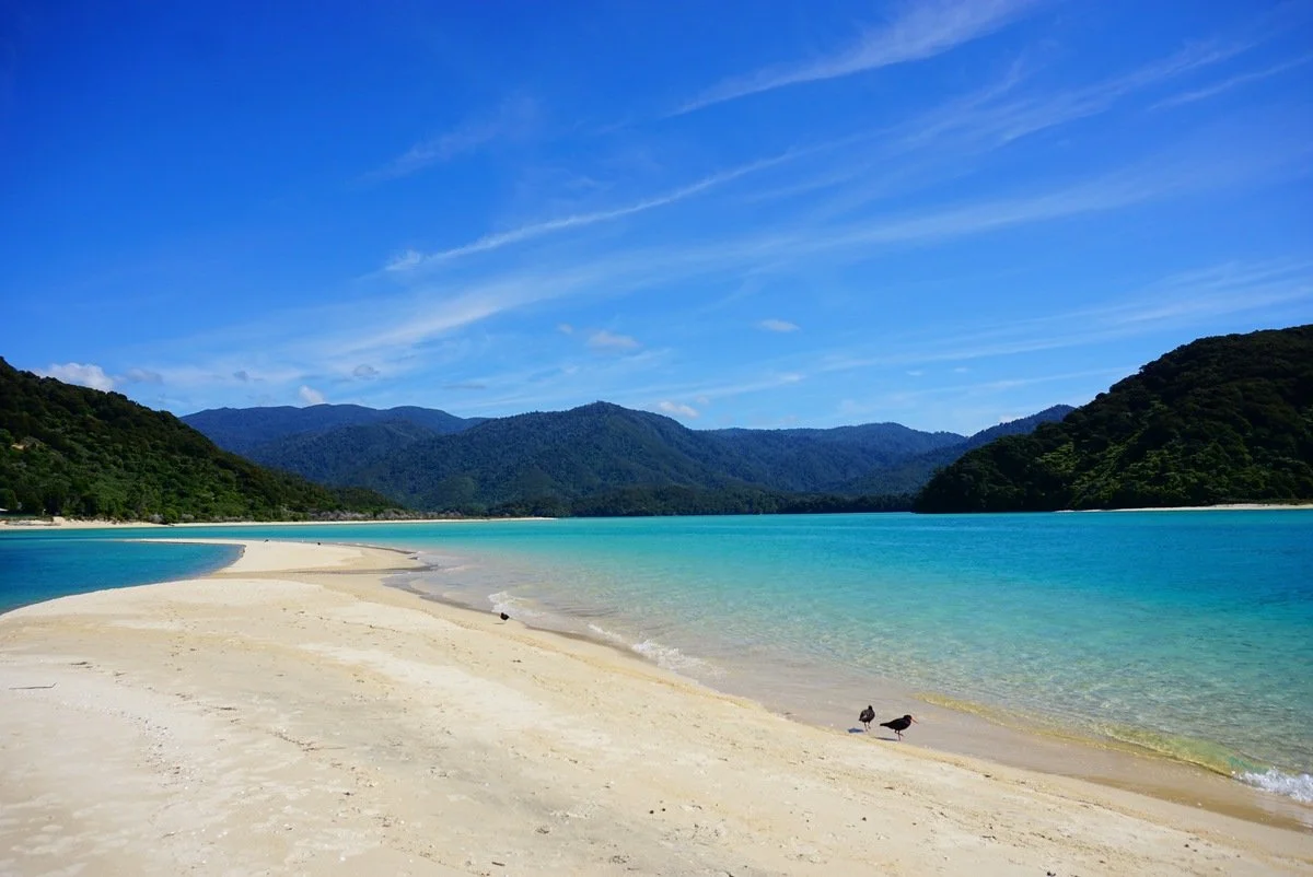 amazonas reisid uus meremaa19.jpeg