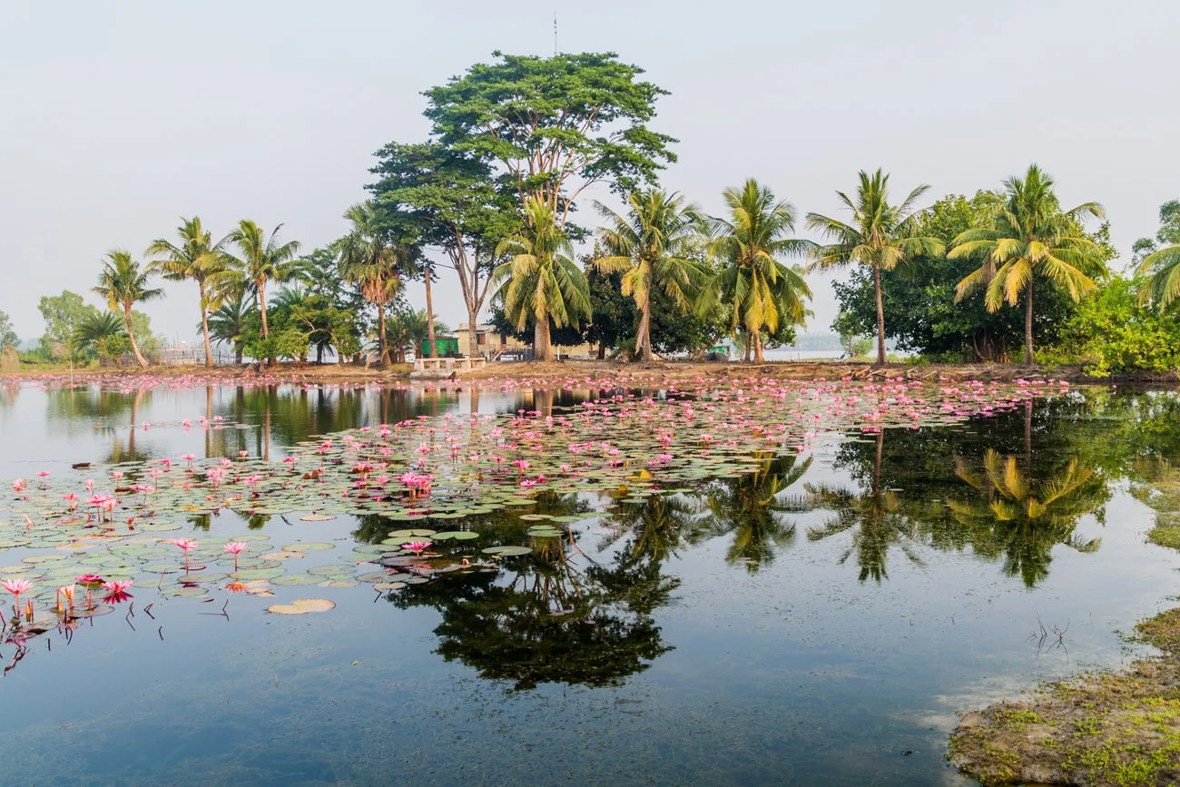 india amazonas reisid 1.jpg