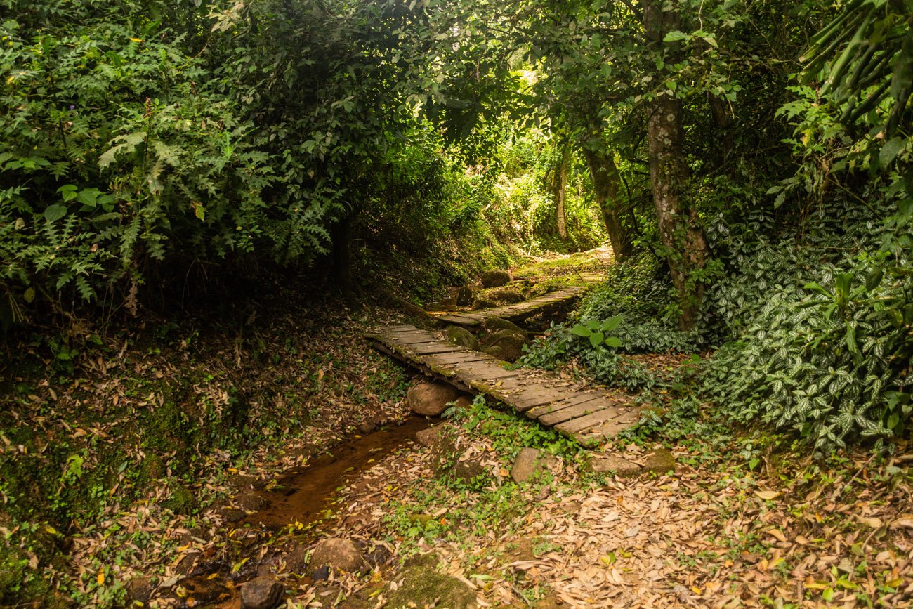 keenia amazonas reisid hanna marta lunge4.jpg