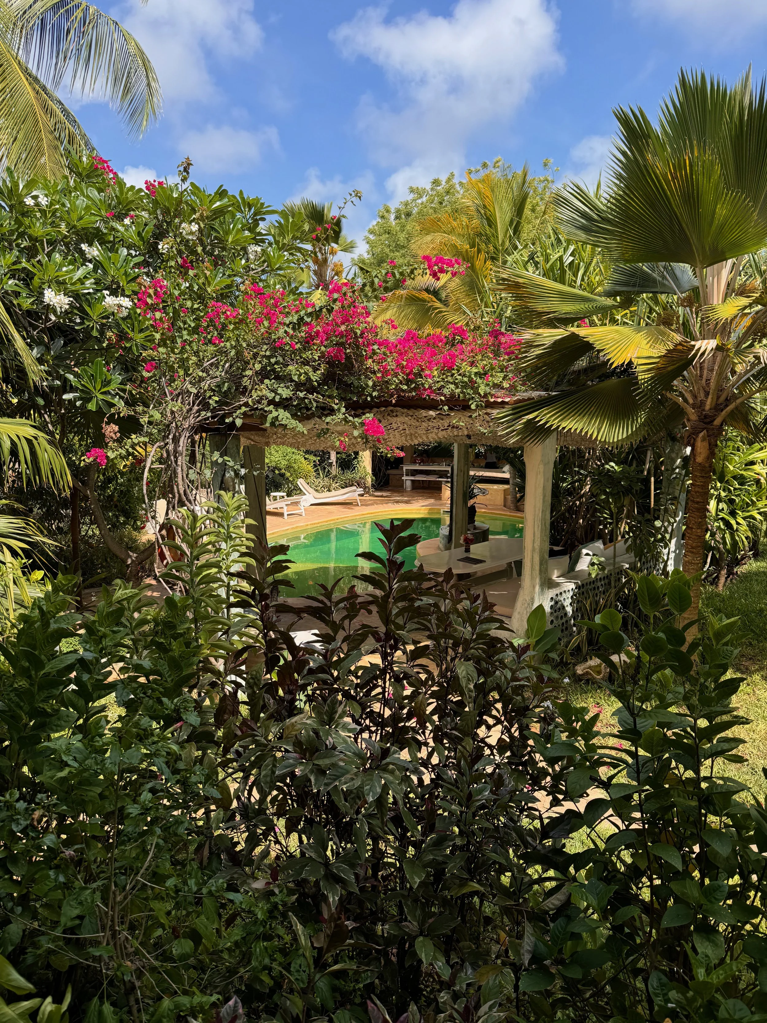 amazonas reisid keenia 215.jpeg