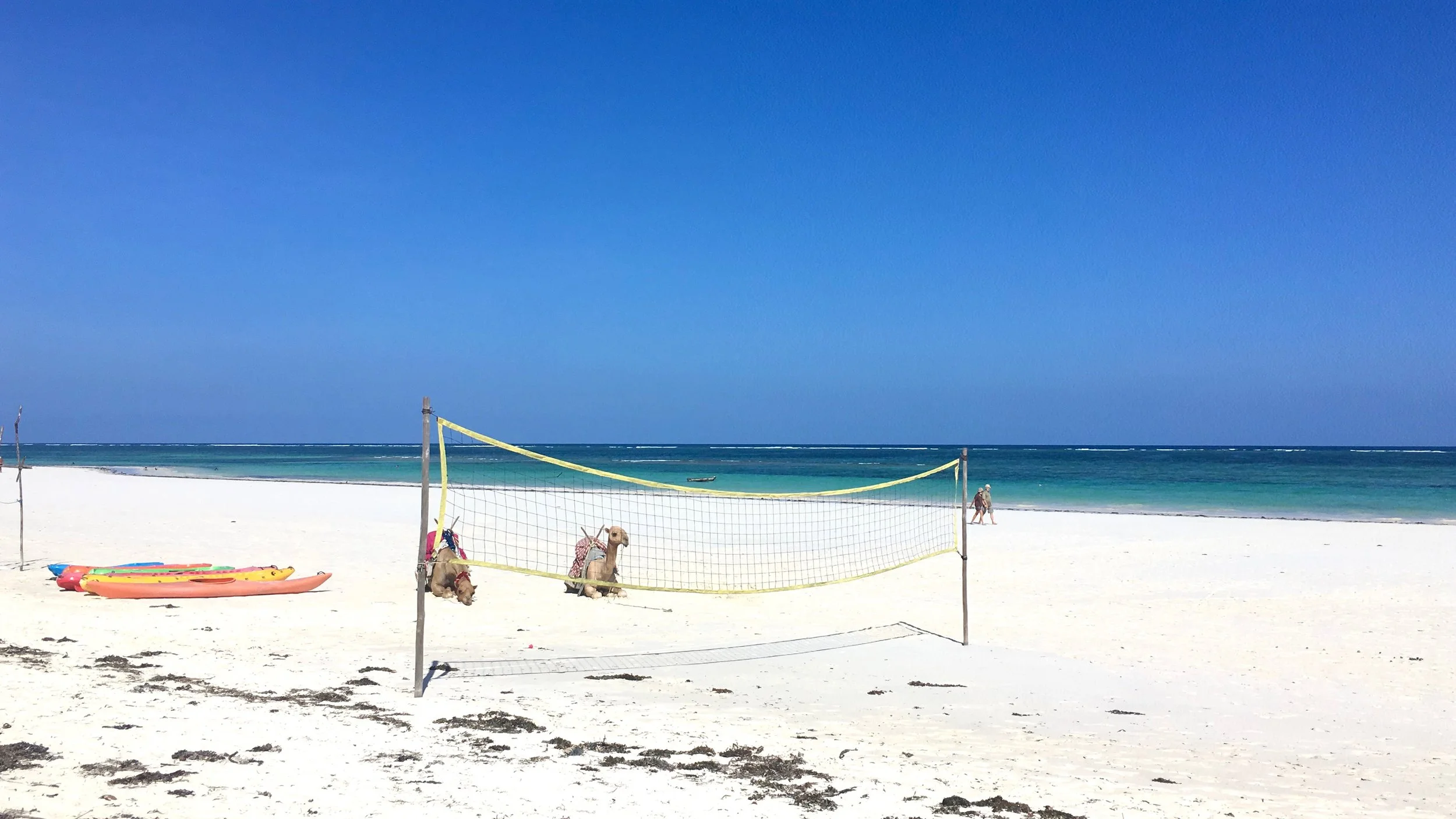 keenia amazonas reisid (6).jpeg