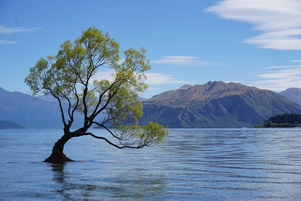 amazonas reisid uus meremaa69.jpeg