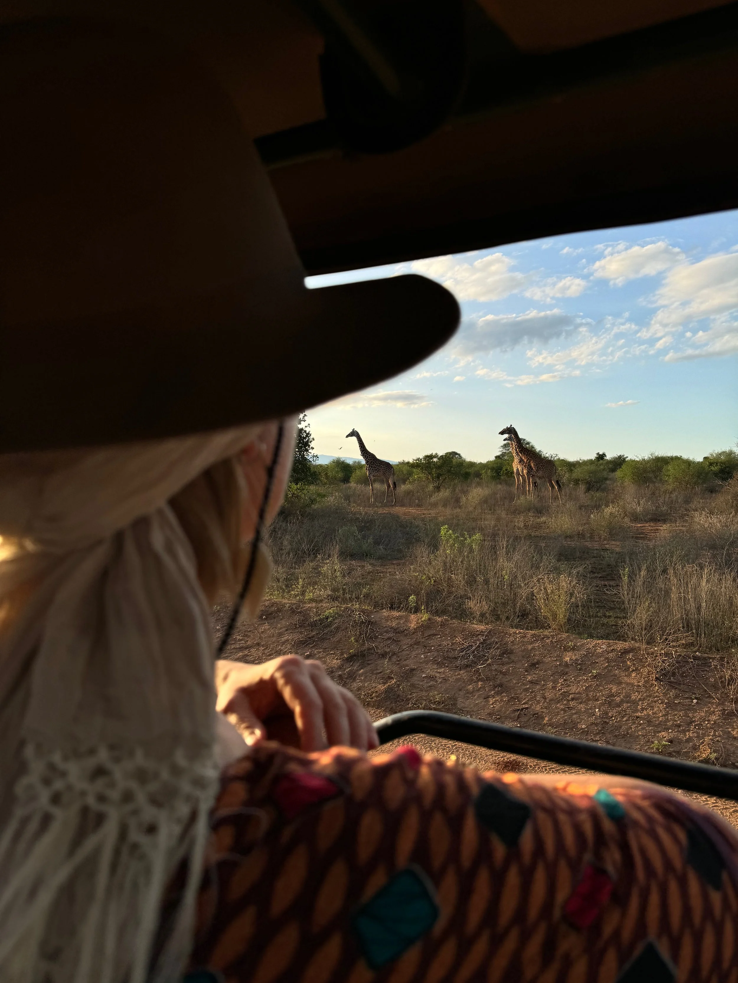 Safarid Keenias - kuidas kaasaegne safari aitab loodust ja kogukondi hoida