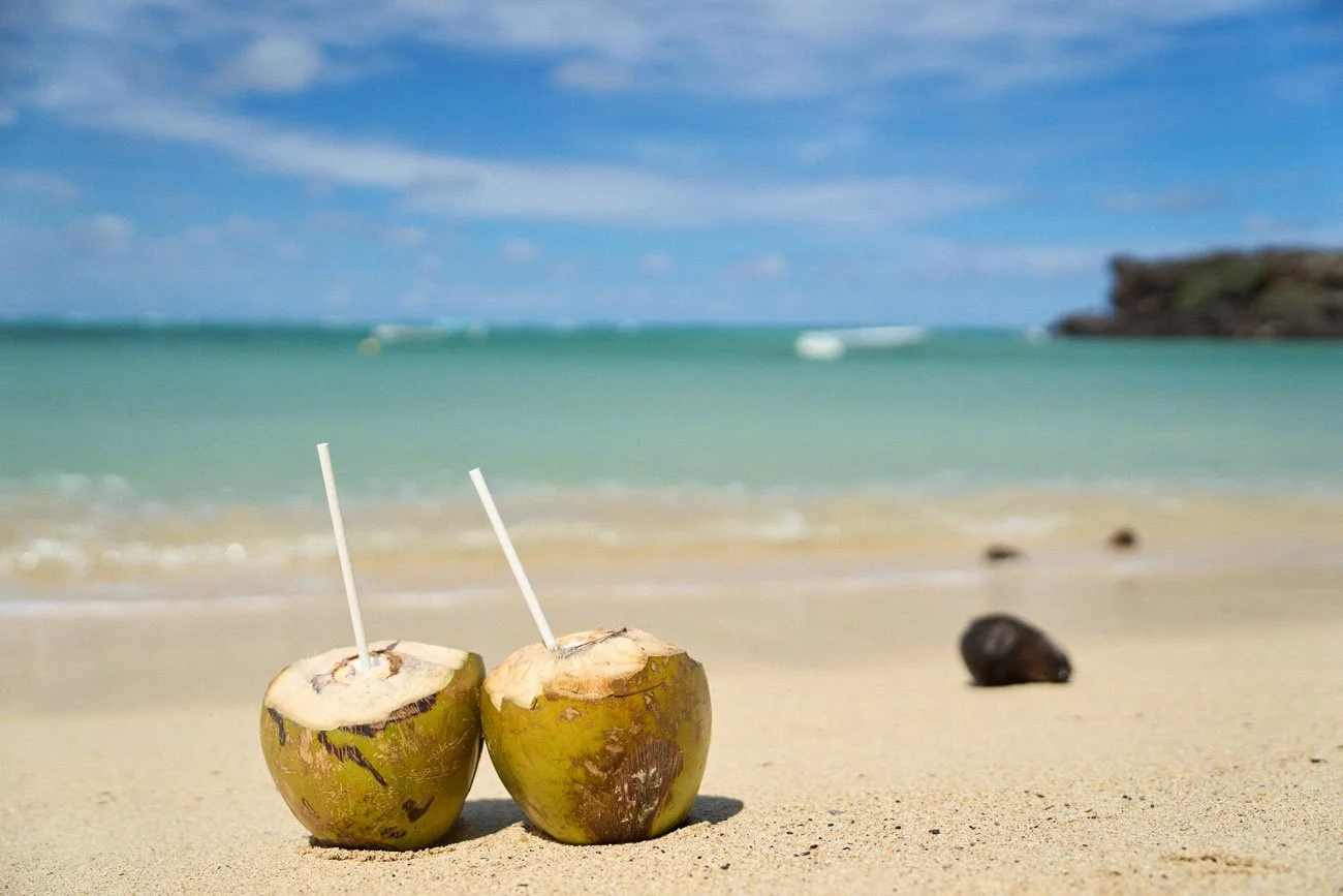 rodriguese ja mauritius kaupo kikkas amazonas reisid16.jpg
