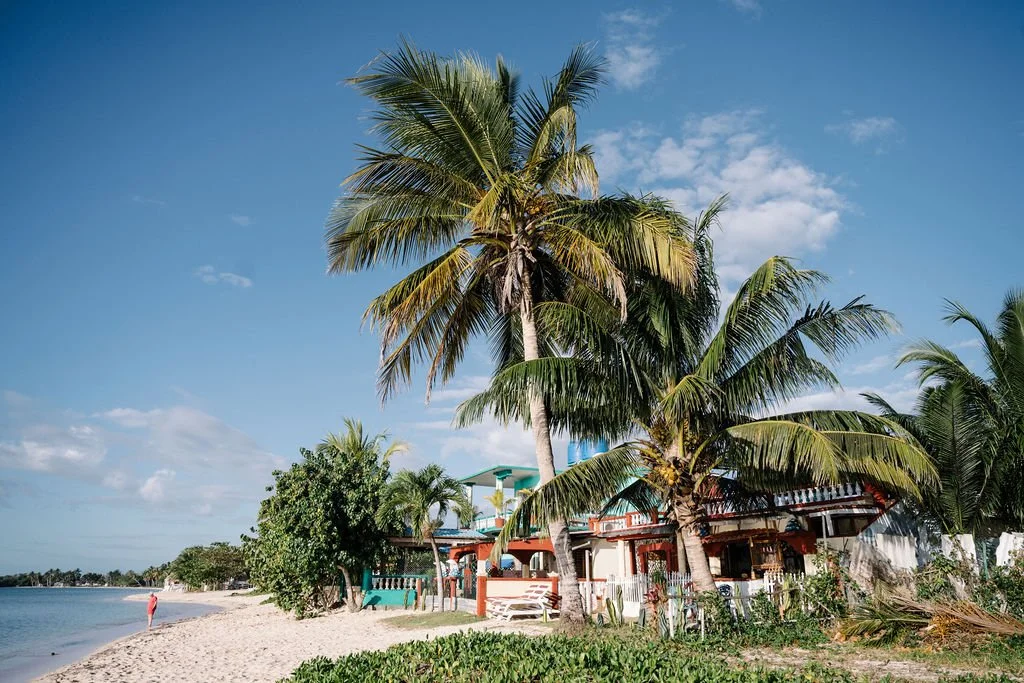 Troopiline rand Kuubal palmide ja rannamajaga Kariibi mere ääres