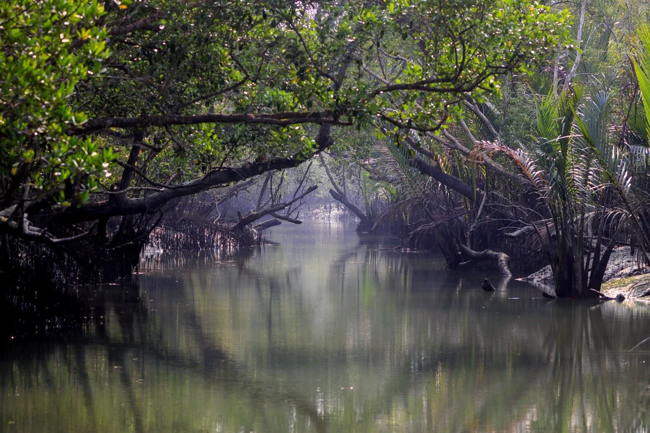 india amazonas reisid 8.jpg