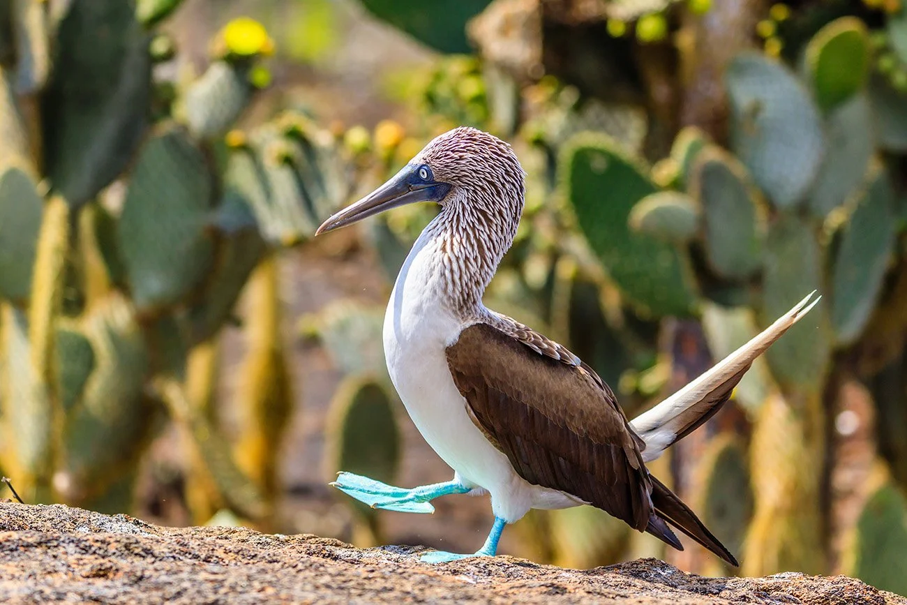 ecuador aliine lotman amazonas reisid3.jpeg