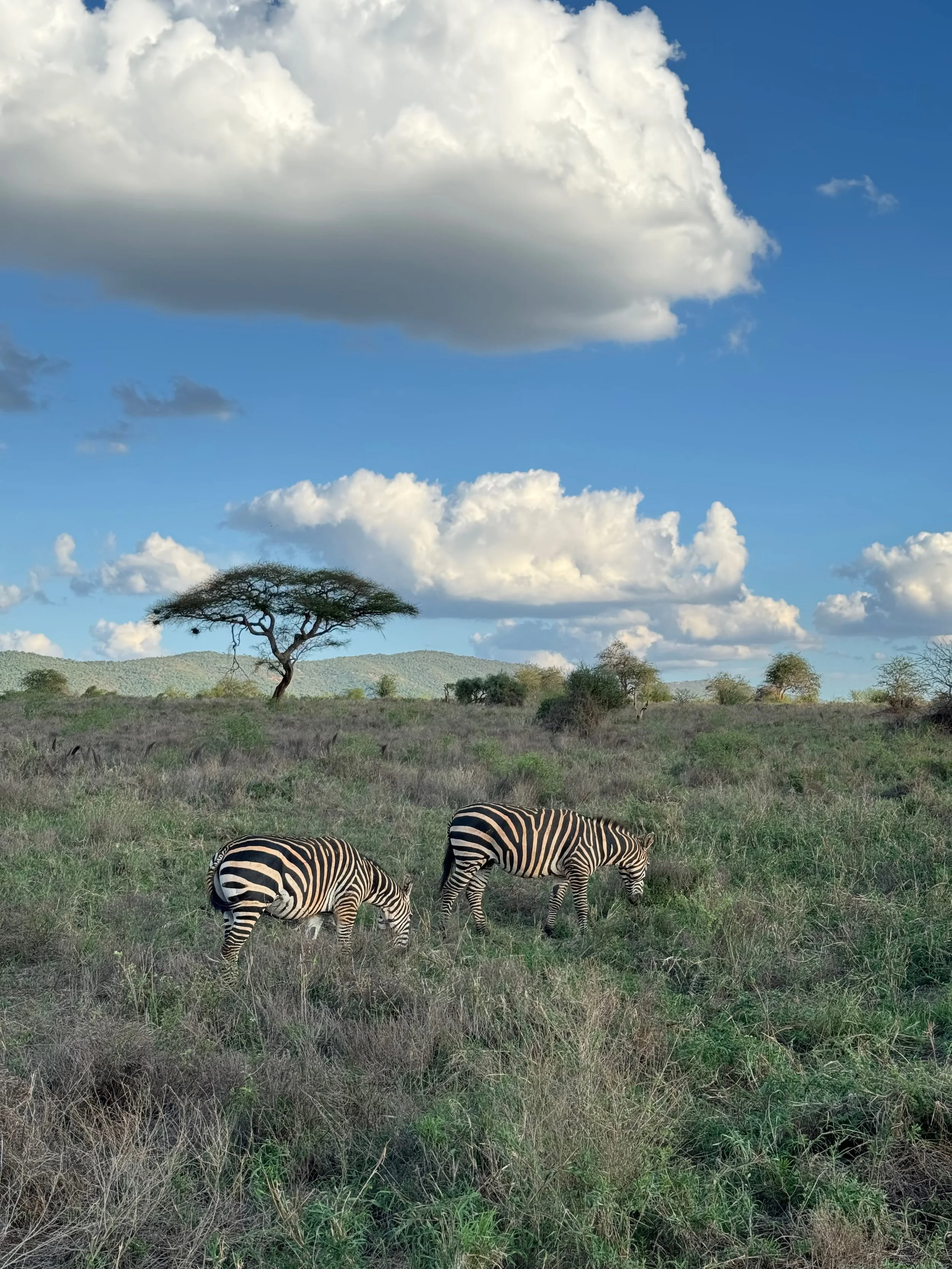 amazonas reisid keenia 181.jpeg