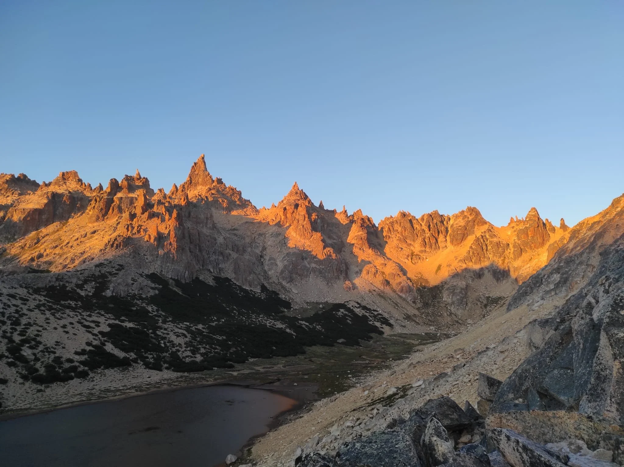 WhatsApp Image 2023-03-11 at 12.23.15.jpeg