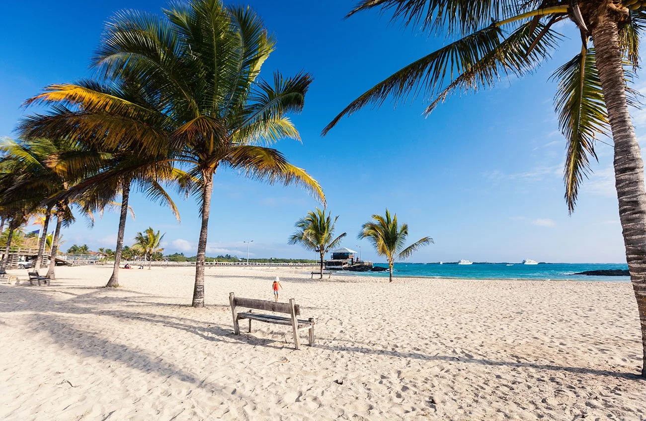 ecuador aliine lotman amazonas reisid2.jpeg