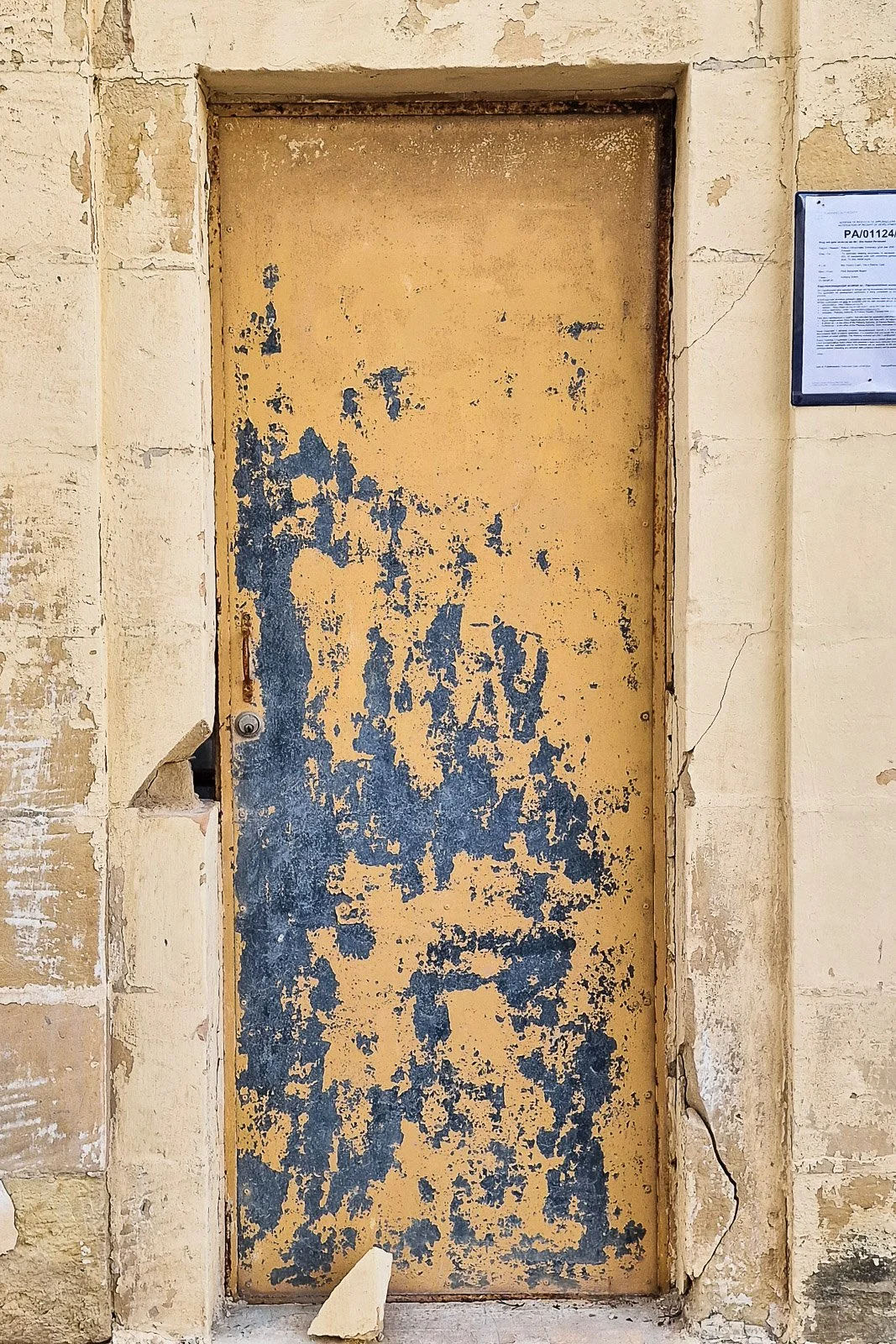 20240502_183152.jpg
