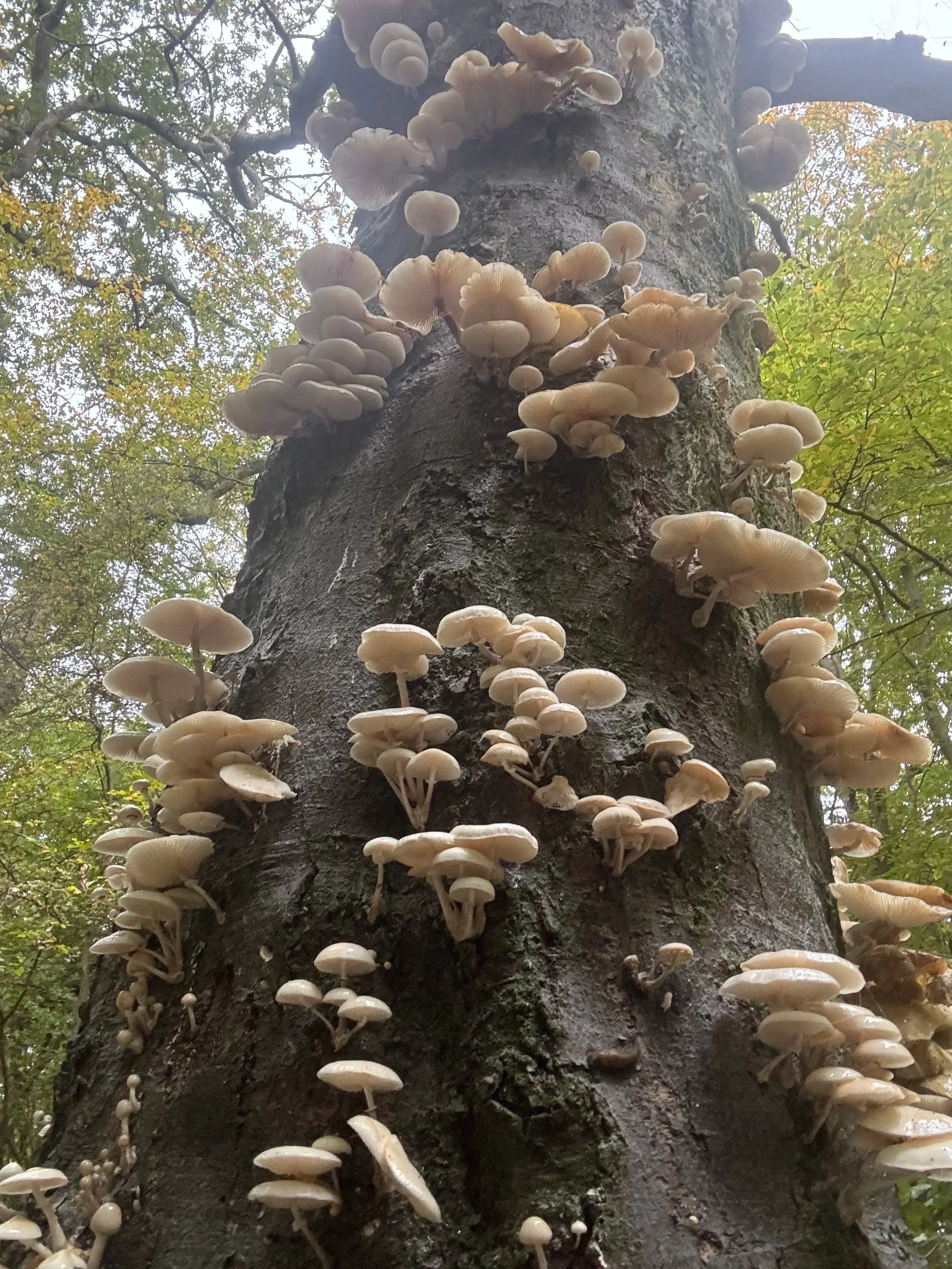 Relational Answers to Complex Problems