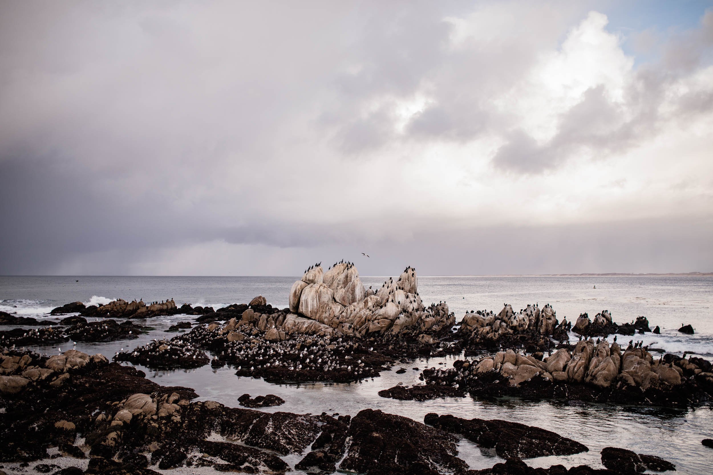 Portfolio Website Banner-57.jpg