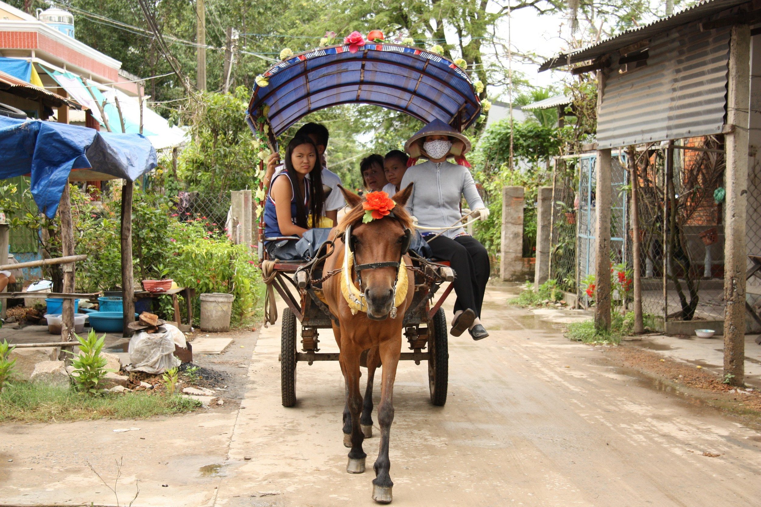 Horse cart Mekong (1).jpg