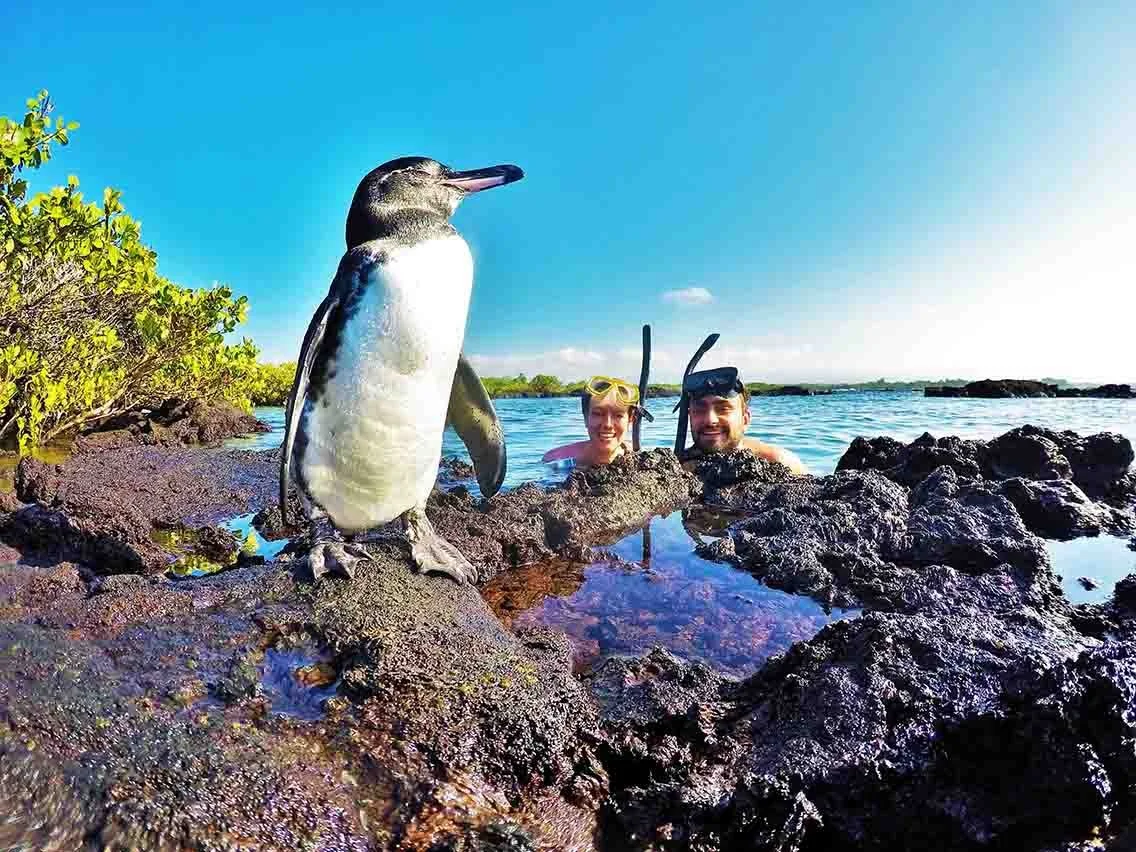 Awe-Inspiring Nature, Active Adventures and Boutique Luxury - the ...