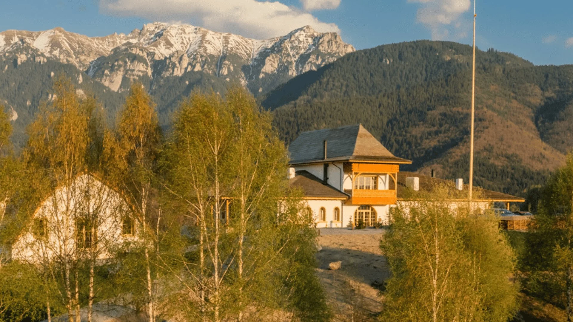 Romania Safari: Wildlife Adventure with Rolandia Bespoke DMC — Travel ...