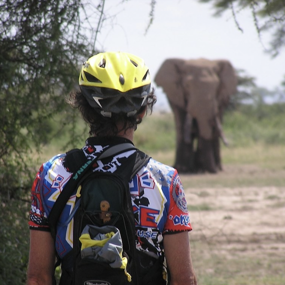 8 Surprising Bucket List Travel Moments for your Clients in 2026