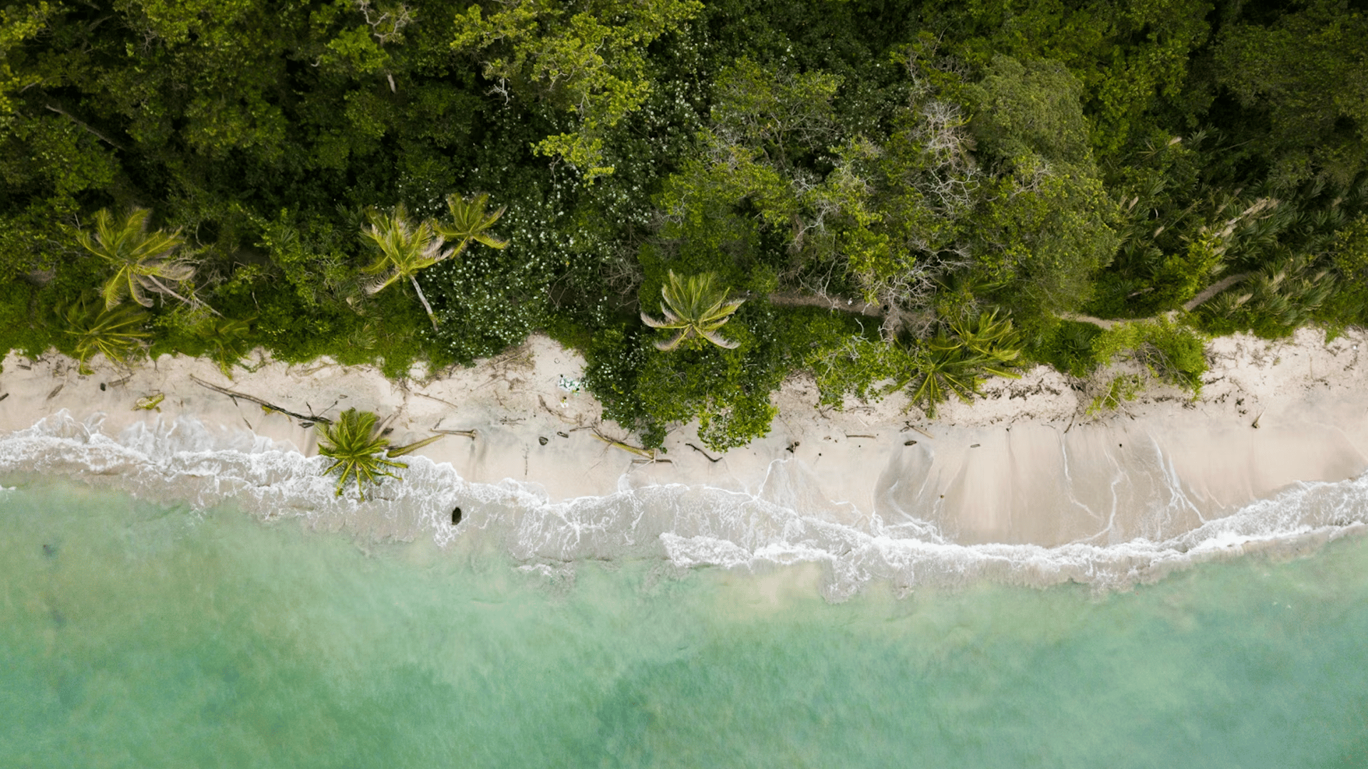 Costa Rica: The Wild, the Luxe and the Wonderfully Unexpected with Viaventure DMC