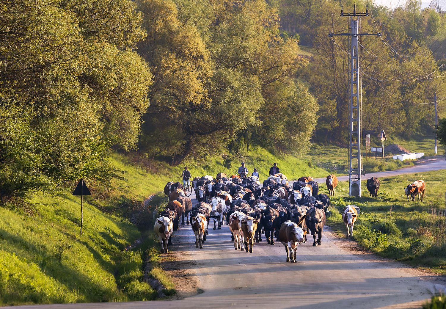 _48A6497xxraw2 (2).jpg