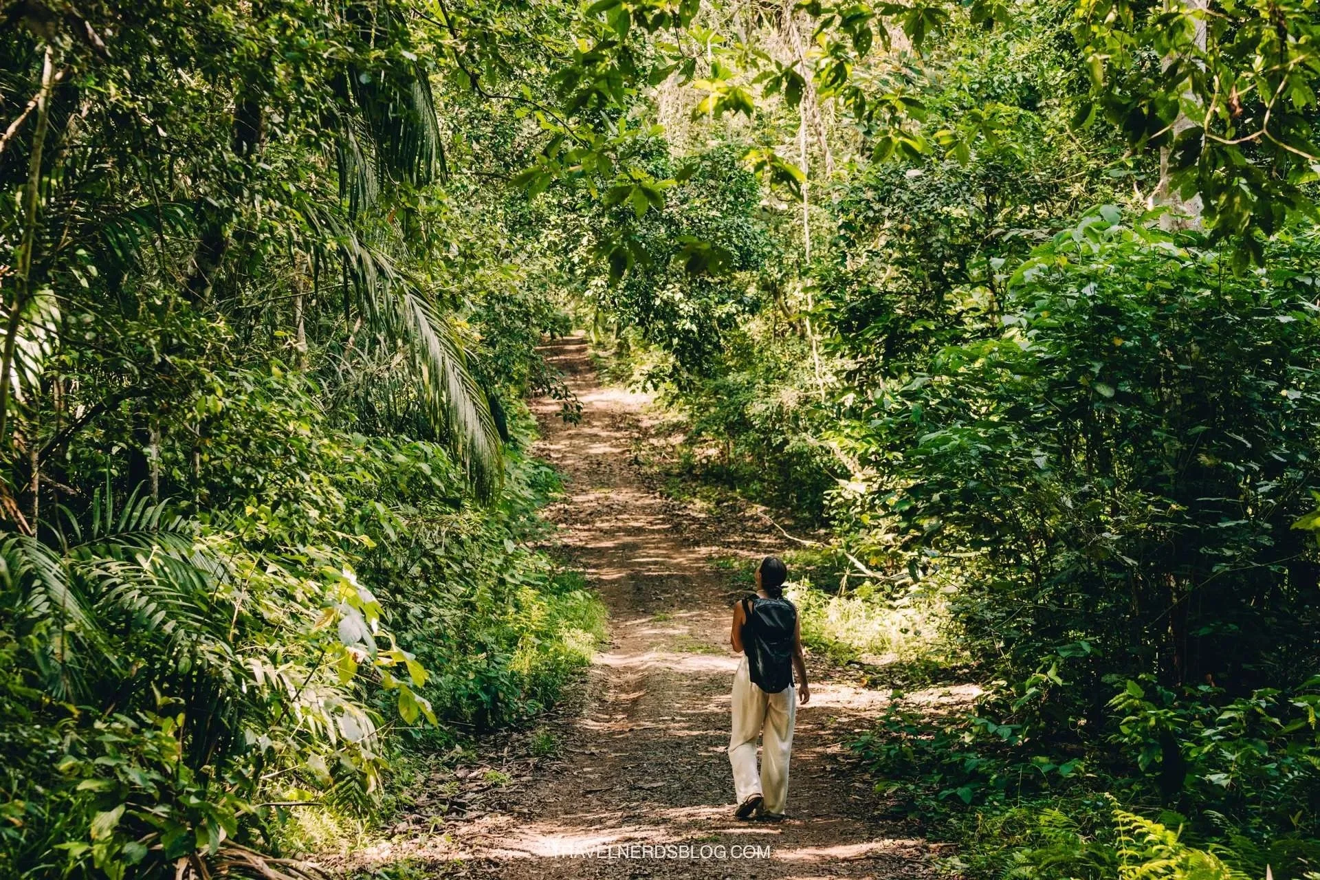 soberania_national_park-6.jpeg