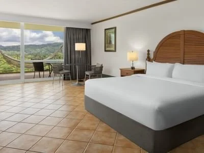 gamboa-rainforest-reserve-colon-panama-accommodations-deluxe-river-view-room-01_standard.jpg