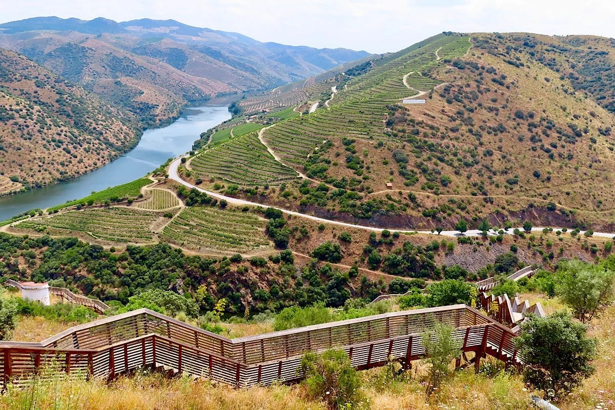 Wild Vines, Wilder Landscapes and the Portugal few Travellers find