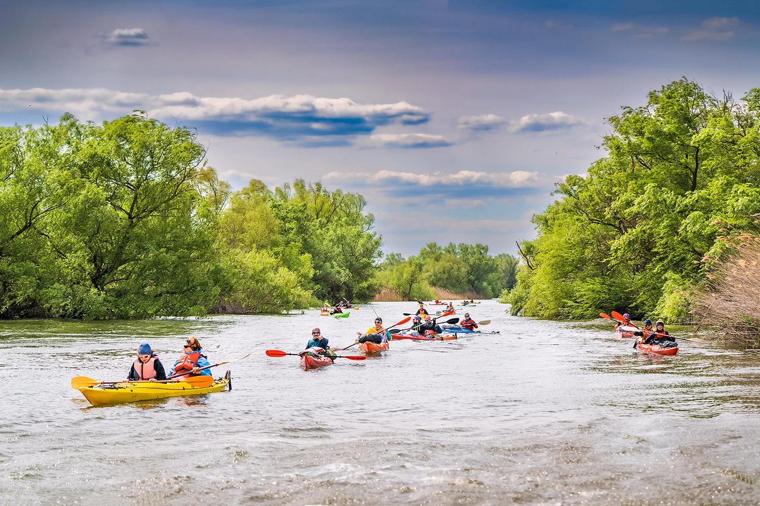 Kayaking Danube Delta.jpg