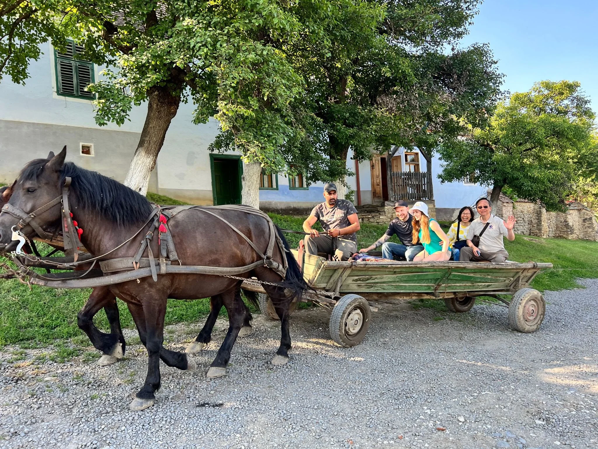 Horse cart riding in the King Charles village.jpg