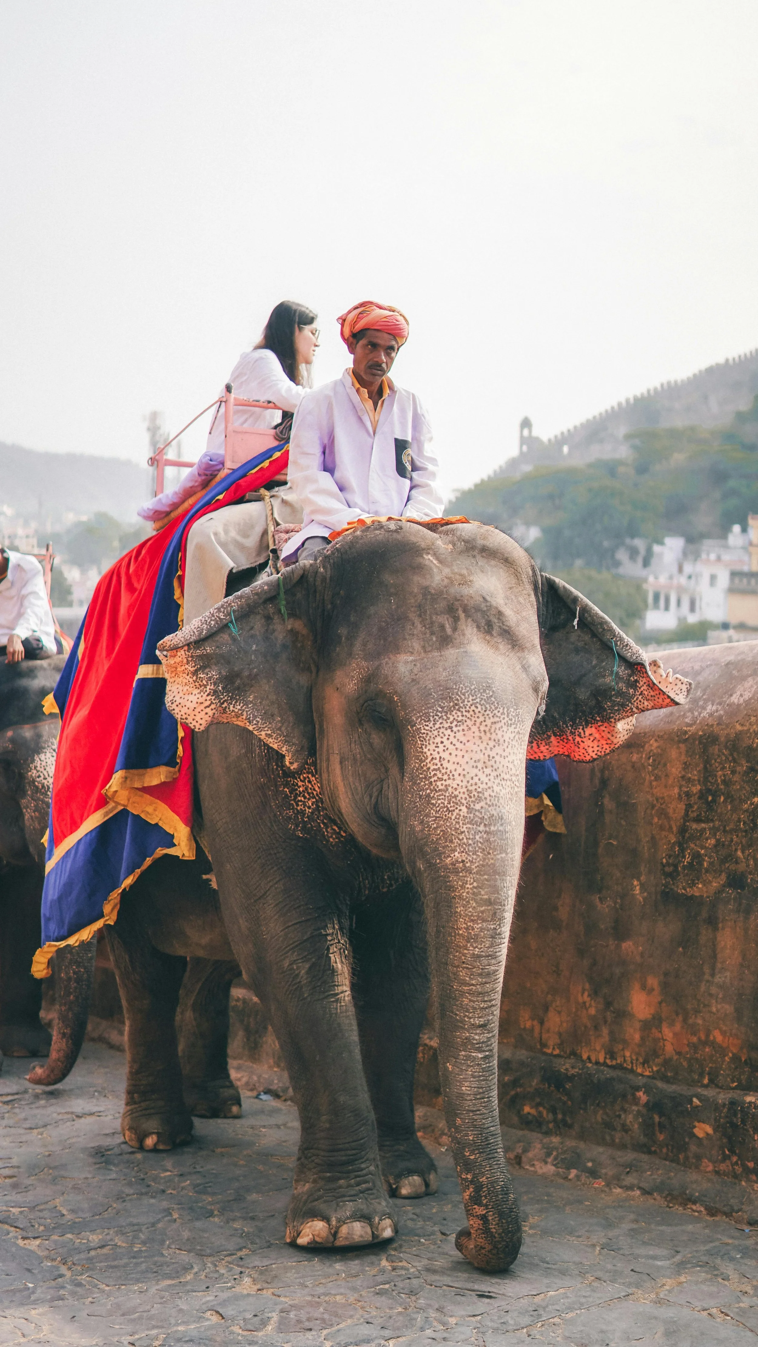 Elephant Ride at Amer Fort in India.jpg