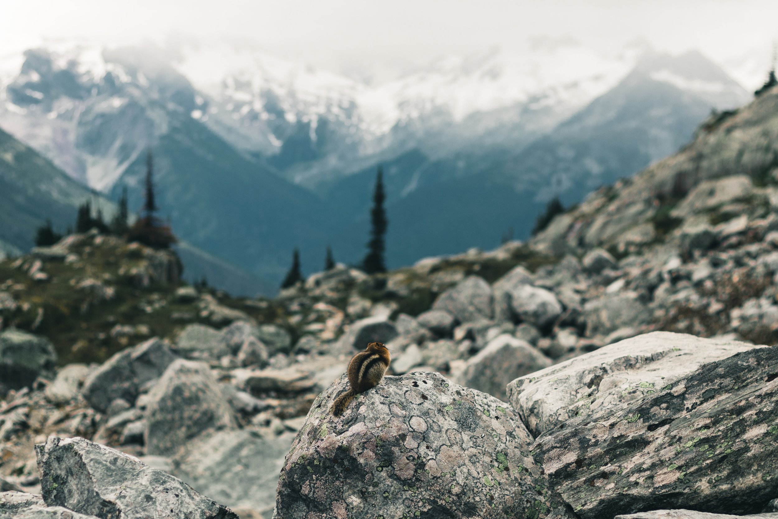 pexels-lureofadventure-11357932.jpg