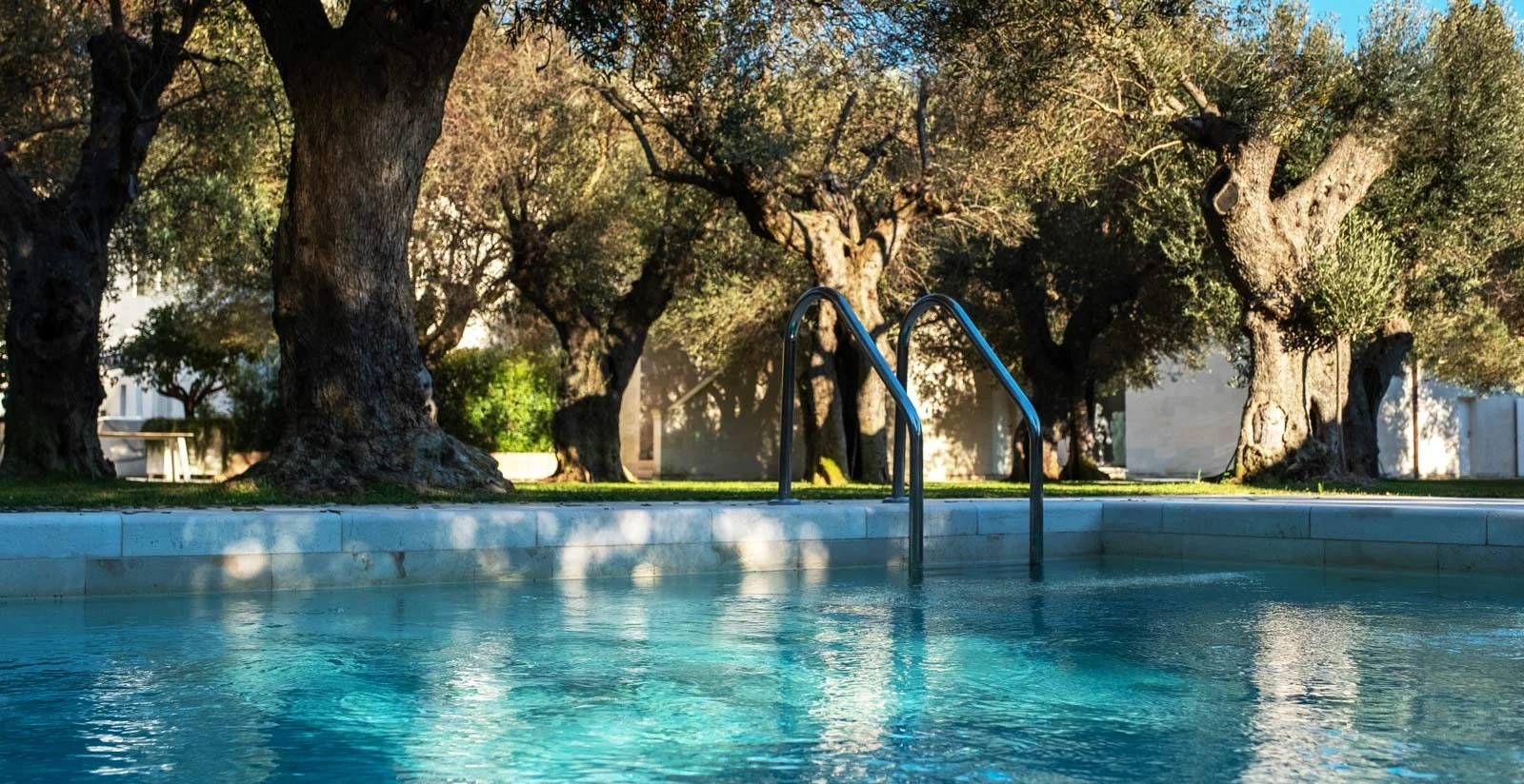 Pool beneath olive trees in the walled garden at La Fiermontina, Lecce