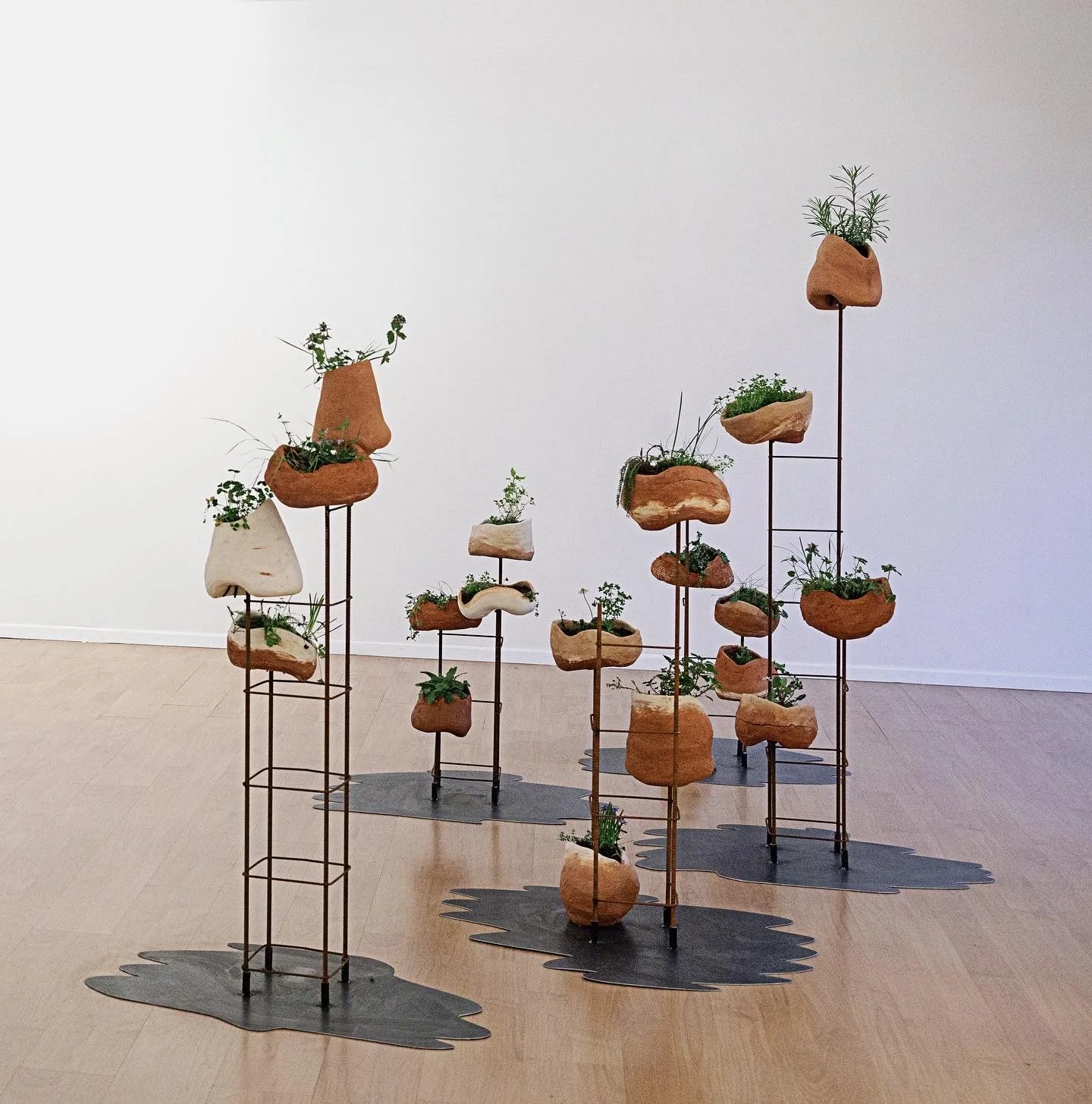 Céramiques, treillis à béton, terreau et plantes.
Dimensions variables et évolutives