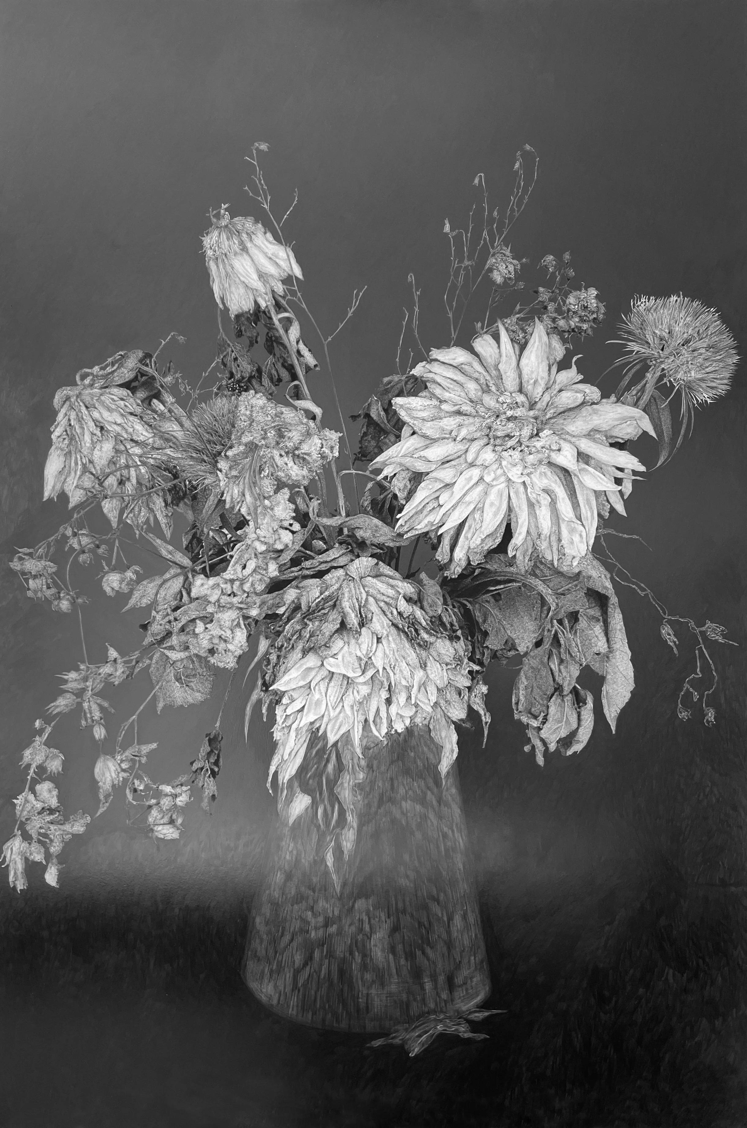 dahlias noirs 2022_ALBROYER_Langages des fleurs.jpg