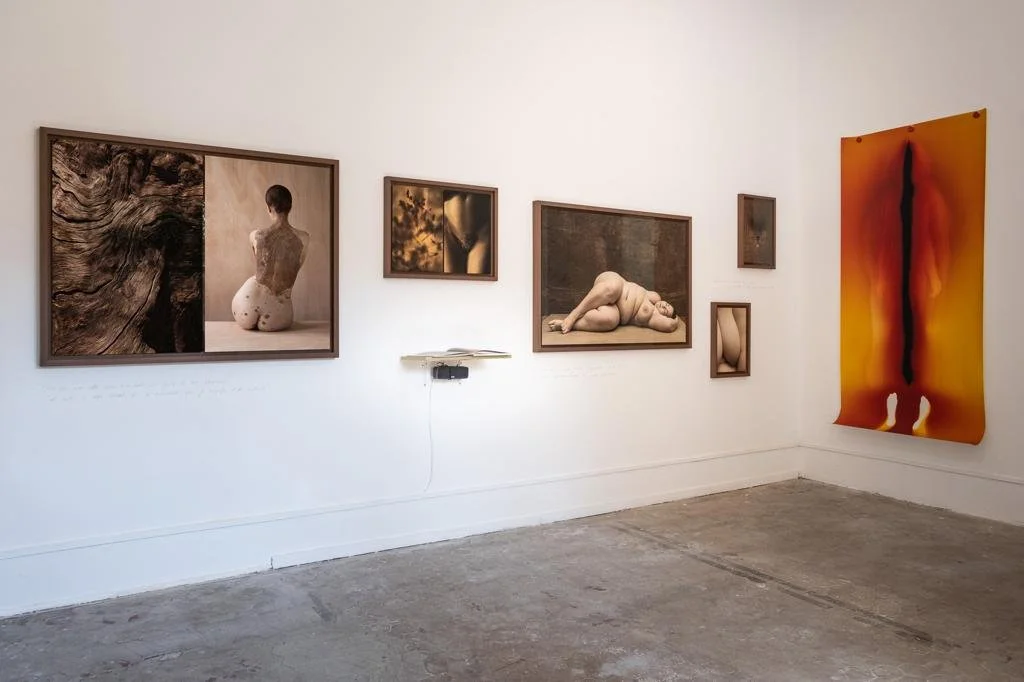 Isabelle Chapuis à la Fondation MRO