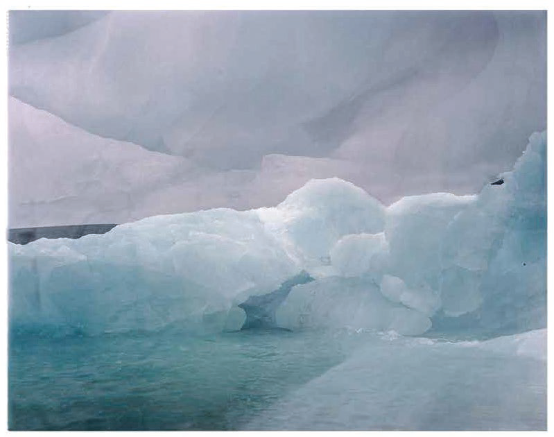 factsheet_arctic-12.png