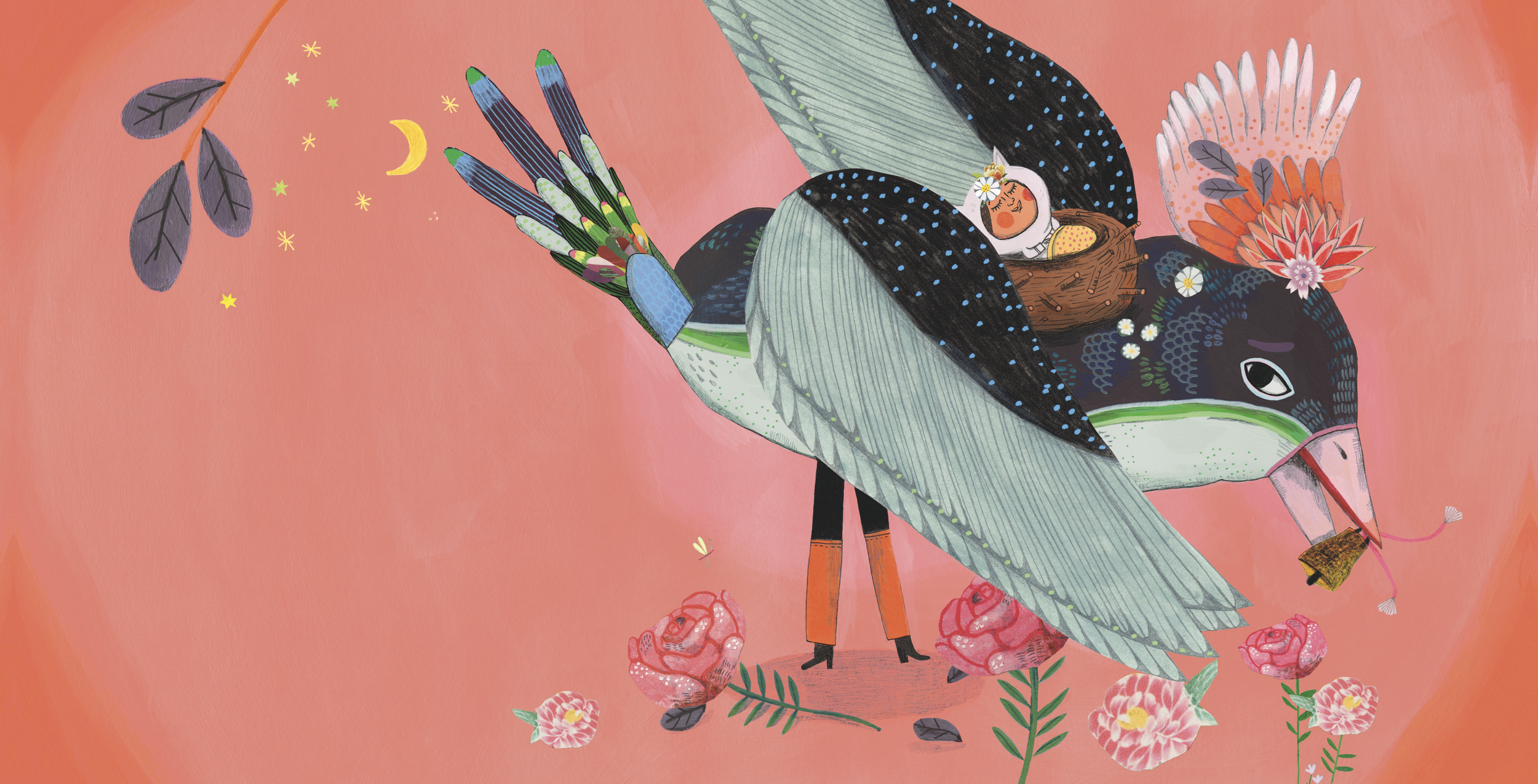 lucile placin oiseau.png