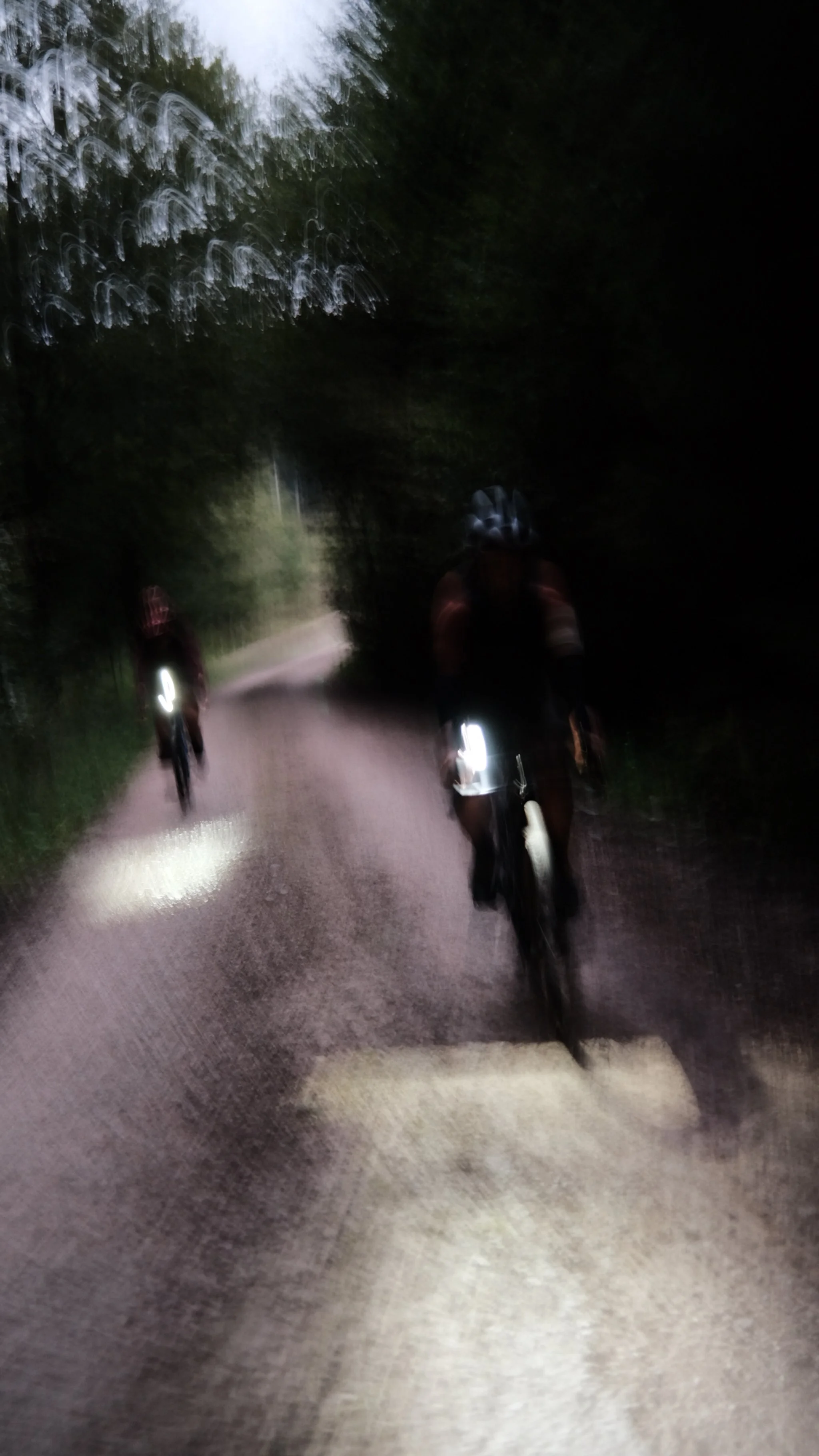 DSCF6150.JPG